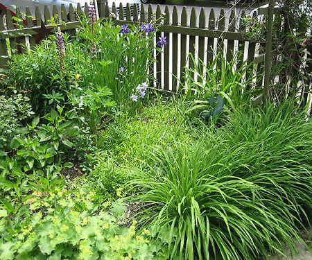 Korner Kottage Bed And Breakfast Traverse City Luaran gambar